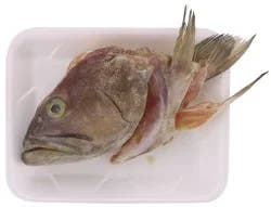 Fresh Grouper Head