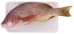 Gamma Fresh Whole Snapper 1-2