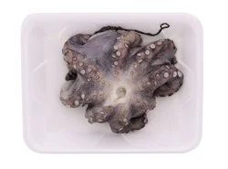 Whole Octopus