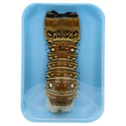 Previously Frozen Raw Lobster Tail 1 Ct - 7 Oz Ea