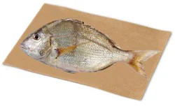 Porgie Dressed Fresh Service Case - 1.5 Lb