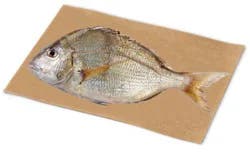 Porgie Dressed Fresh Service Case - 1.5 Lb