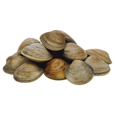 slide 1 of 1, Fresh Littleneck Clams - 1 Lb, per lb