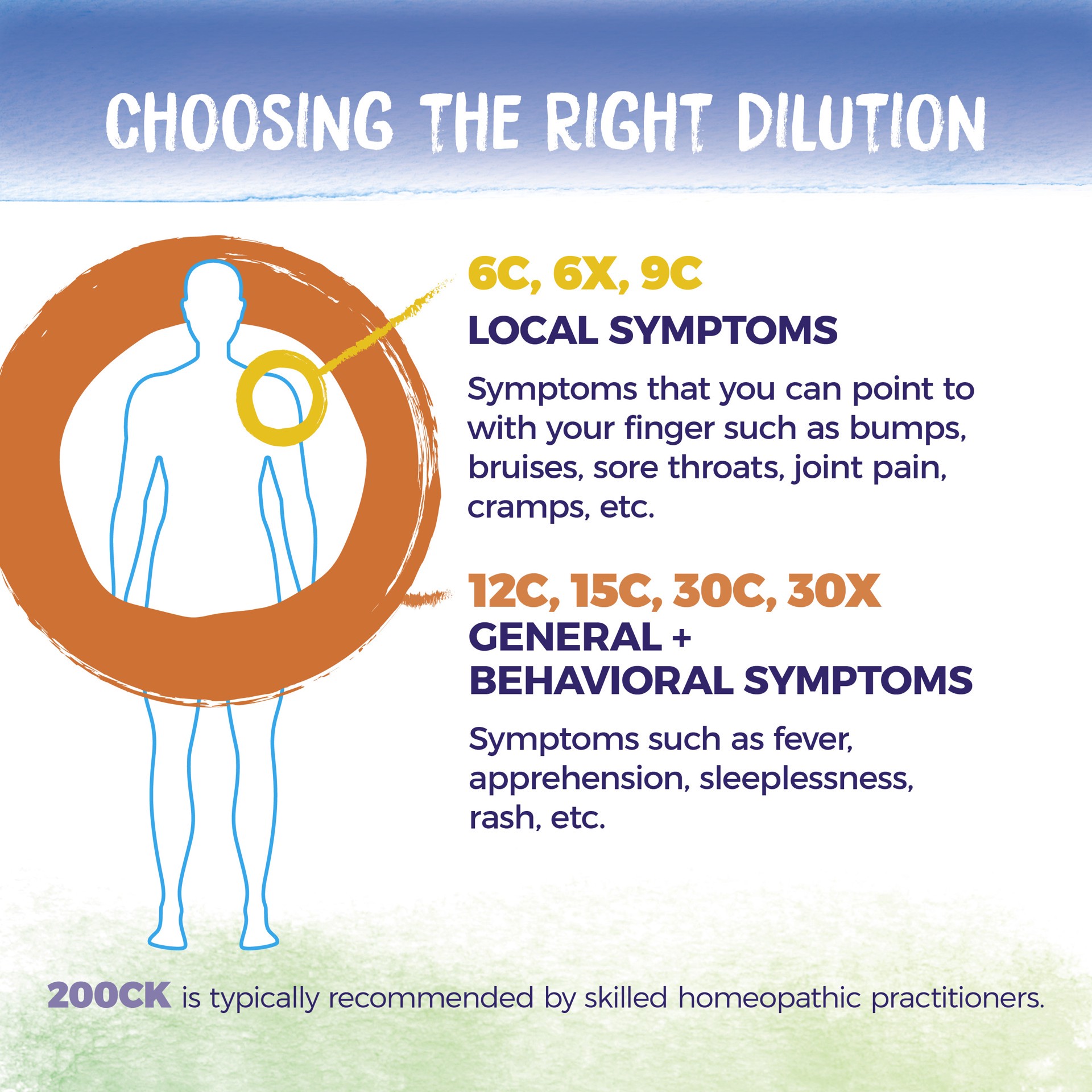 slide 6 of 9, Boiron Homeopathic Colocynthis 30C, 80 ct