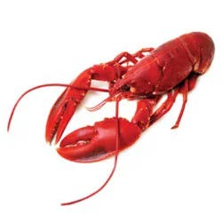 Lobster Whole Cooked 12 To 14 Oz 1 Count - .9 Lb (Subject To Availability)