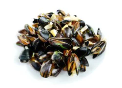 Seafood Counter Mussel Black Pei Live - 1.00 Lb