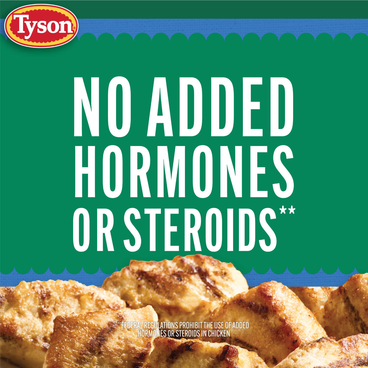 slide 8 of 8, Tyson Grilled Boneless Chicken Bites, 20 oz, 20 oz
