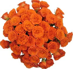 Central Market Spray Roses