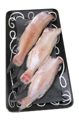 Fresh Farm Raised Whole Catfish