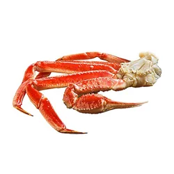 Iqf Canadian Snow Crab Clusters