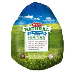 H-E-B Natural Frozen Whole Young Turkey, 16 - 20 lbs