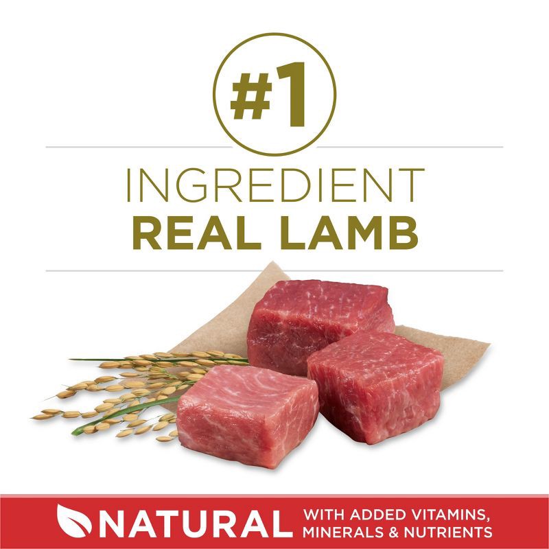 slide 2 of 11, Purina ONE SmartBlend Natural Dry Dog Food with Rice and Lamb - 40lbs, 40 lb