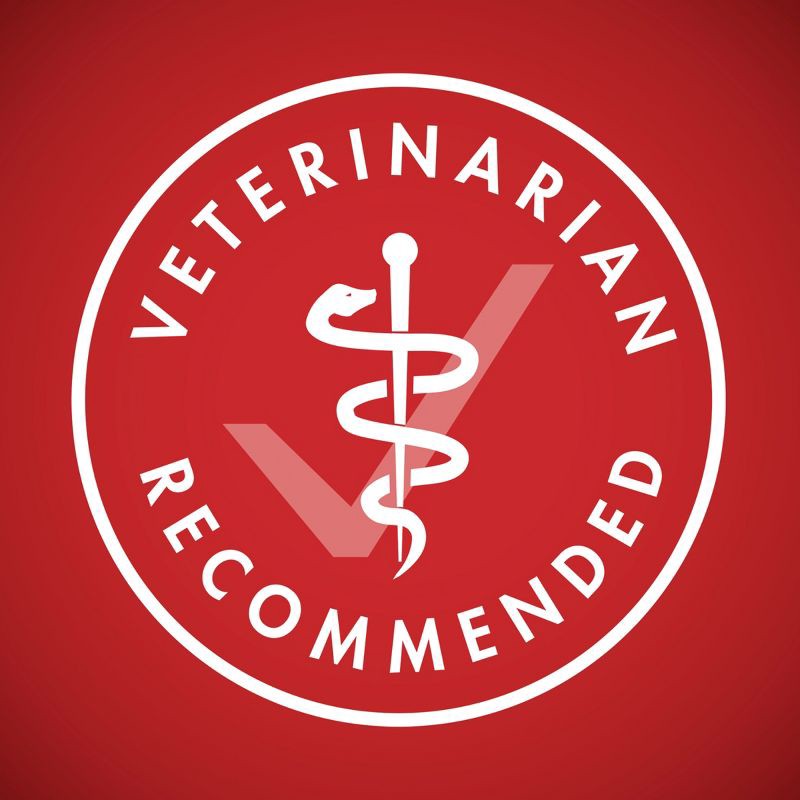 slide 8 of 11, Purina ONE SmartBlend Natural Dry Dog Food with Rice and Lamb - 40lbs, 40 lb