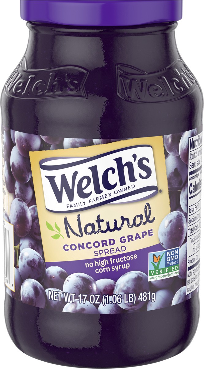 slide 5 of 5, Welch's Natural Concord Grape Spread, 17 oz Jar, 17 oz