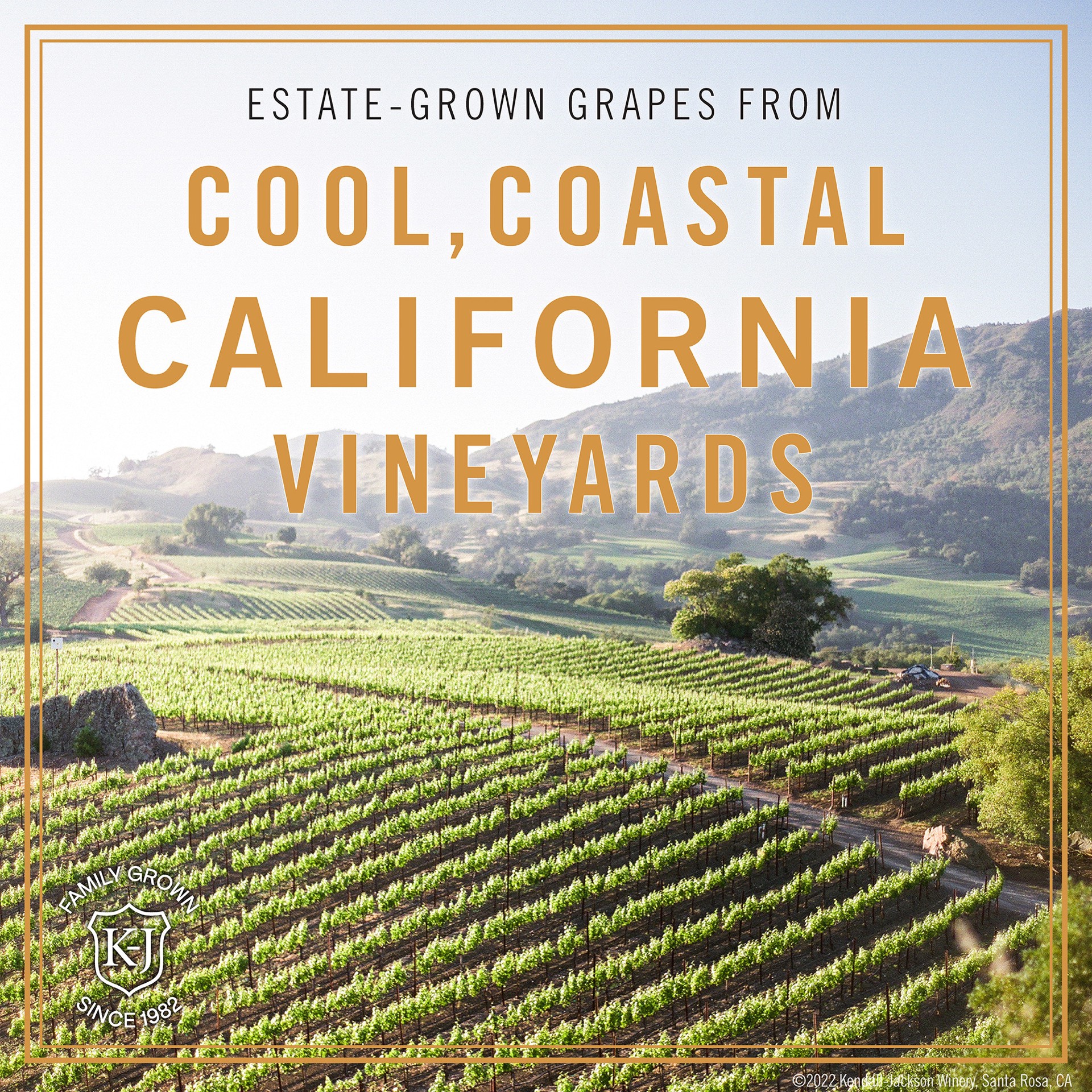slide 2 of 3, Kendall-Jackson Vintner's Reserve Monterey County Riesling White Wine, 750ml, 750 ml