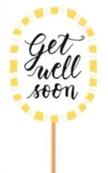 Get Well Soon Bouquet or Plant Pick