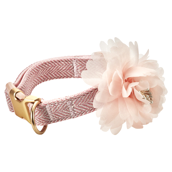slide 1 of 1, Meijer Pet Collar With Flower, Pink Herringbone, Small, 1 ct