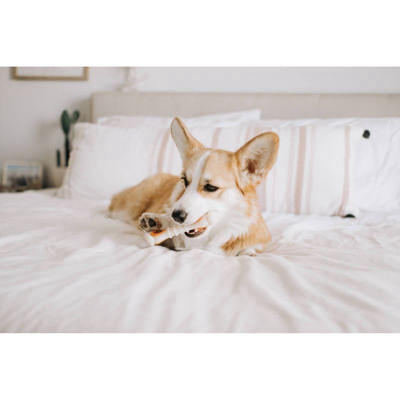 slide 2 of 6, Nylabone All-Natural Pop-In Dog Treat Refills Chicken Pop-In All Sizes(30 Count), 1 ct