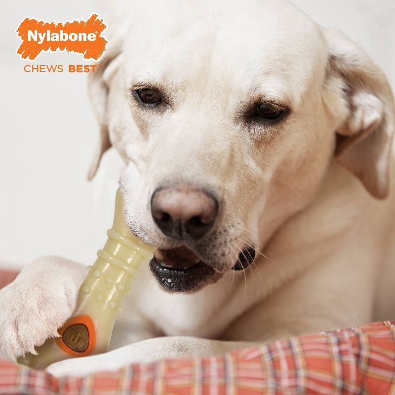slide 5 of 6, Nylabone All-Natural Pop-In Dog Treat Refills Chicken Pop-In All Sizes(30 Count), 1 ct