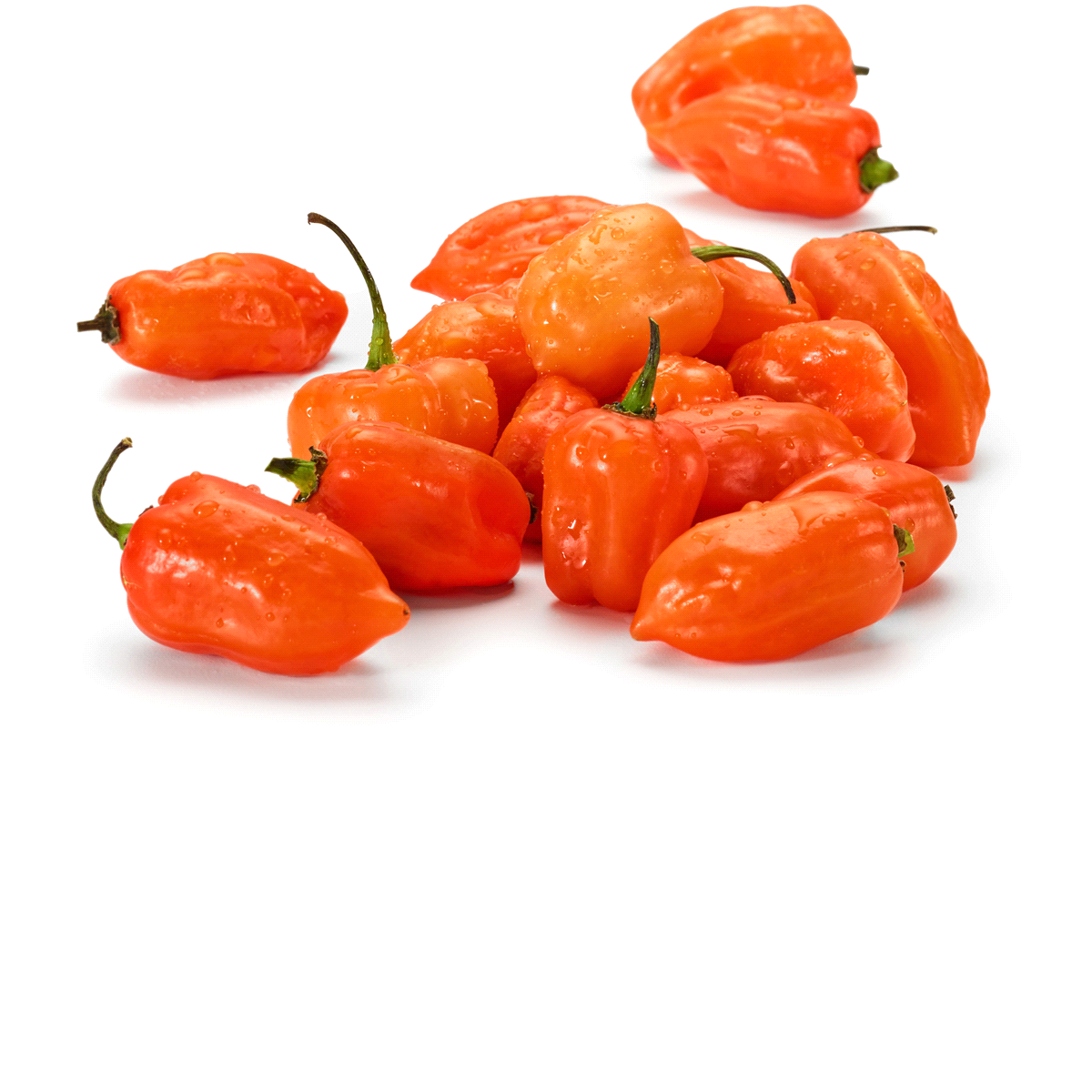 slide 1 of 1, Habenero Peppers, 1 ct