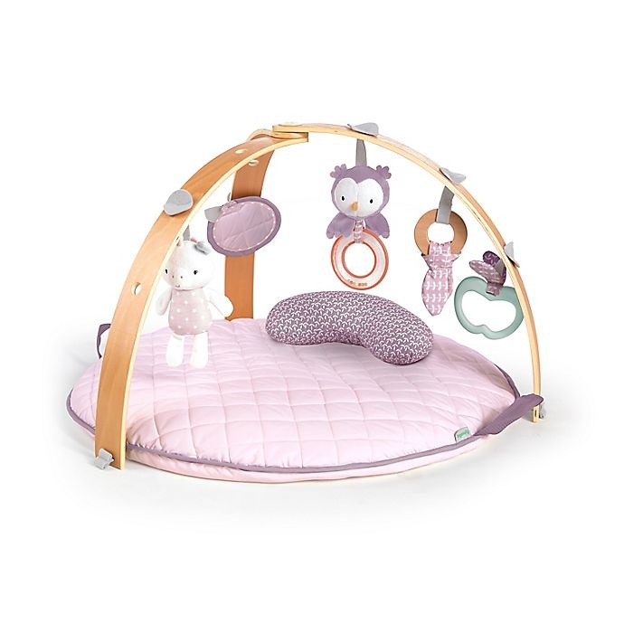 slide 1 of 11, Ingenuity Cozy Spot Reversible Activity Gym - Calla, 1 ct