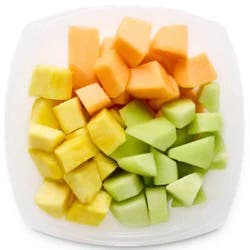 Fruit Medley Bowl Medium - 22 Oz