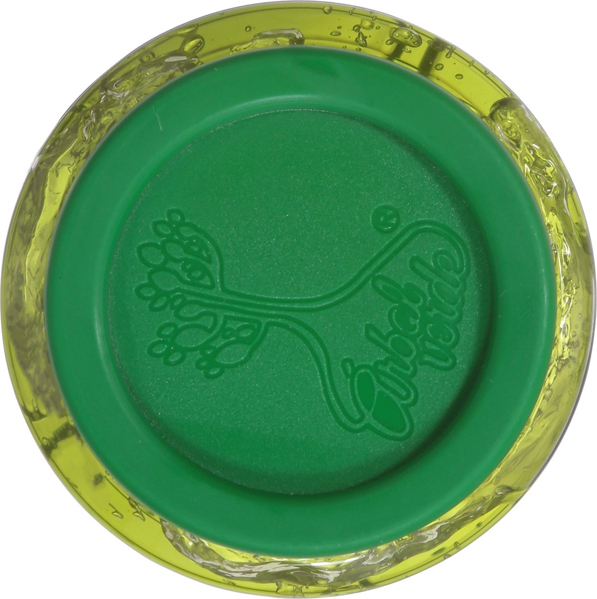 slide 2 of 10, Arbol Verde Hair Styling Gel with Rosemary and Aloe Vera Extract 8.8 oz, 8.8 oz