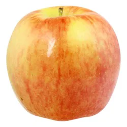 Apple Ambrosia