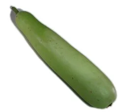 Squash Pul Qua Opo