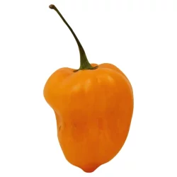 Produce Habanero Peppers