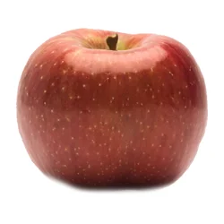 Produce Evercrisp Apples