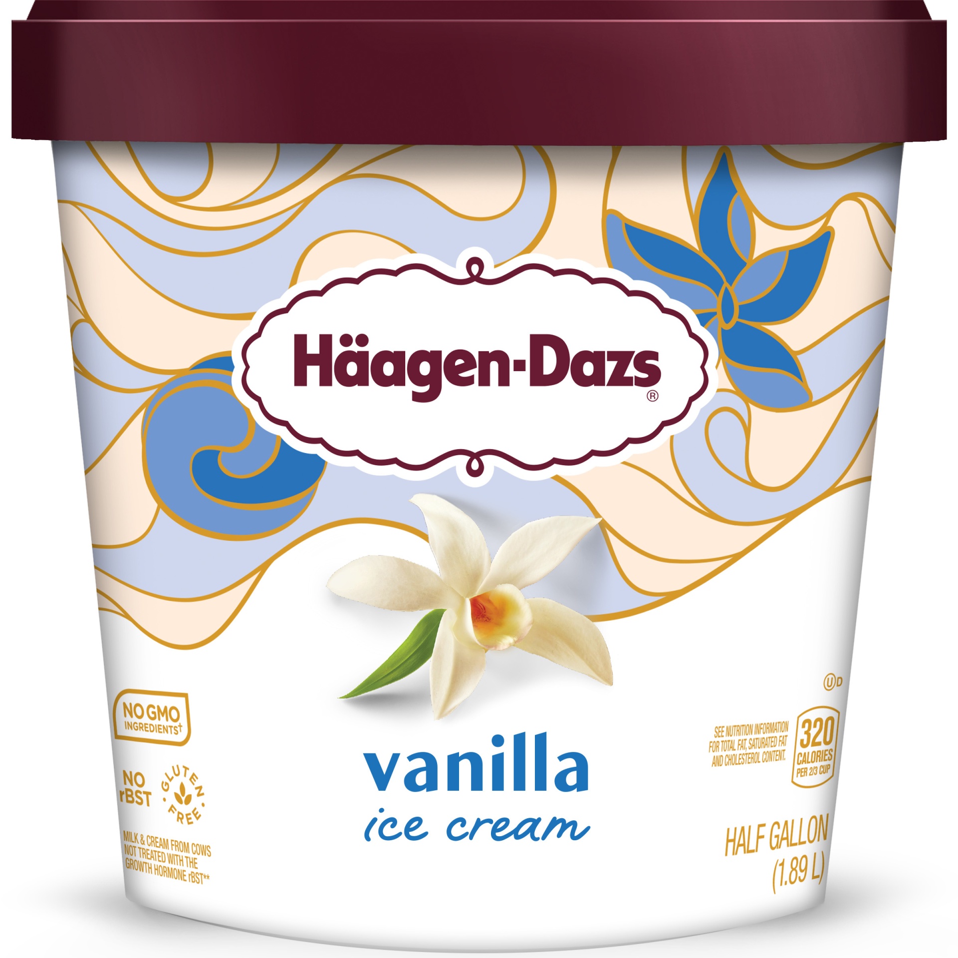 slide 1 of 1, Haagen-Dazs Vanilla Ice Cream, 64 fl oz