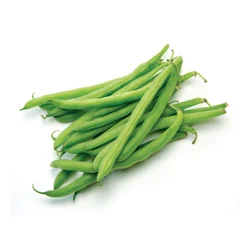 Produce Fresh Green Beans