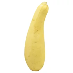 Produce Yellow Zucchini