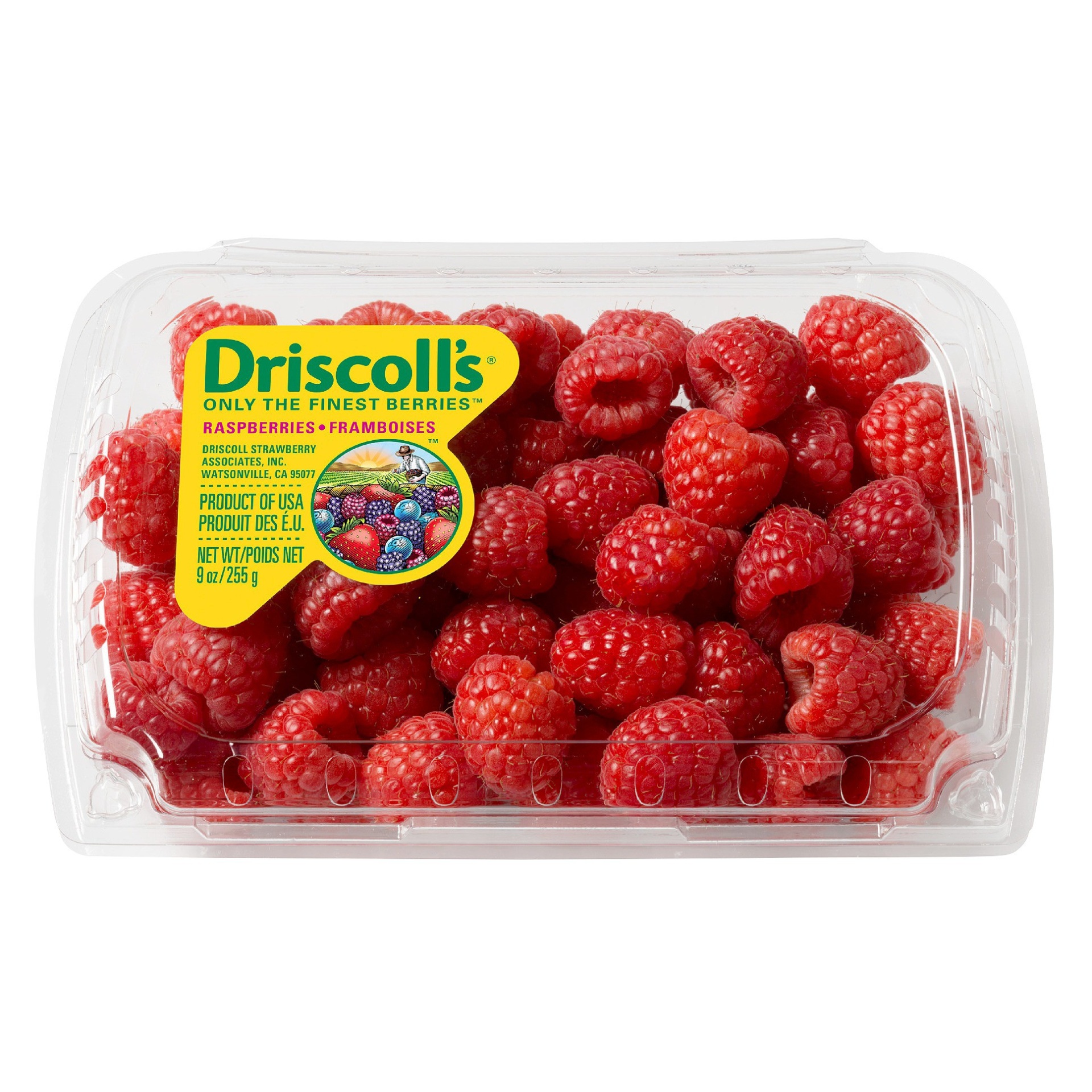 slide 1 of 1, Driscoll's Red Raspberries, 9 oz