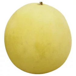 Produce Honeydew Melon
