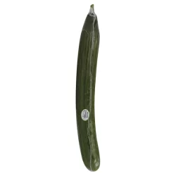 Hothouse Seedless Cucumbers
