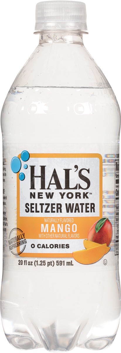 slide 6 of 9, Hal's New York Hal's Mango Seltzer Water, 20 fl oz