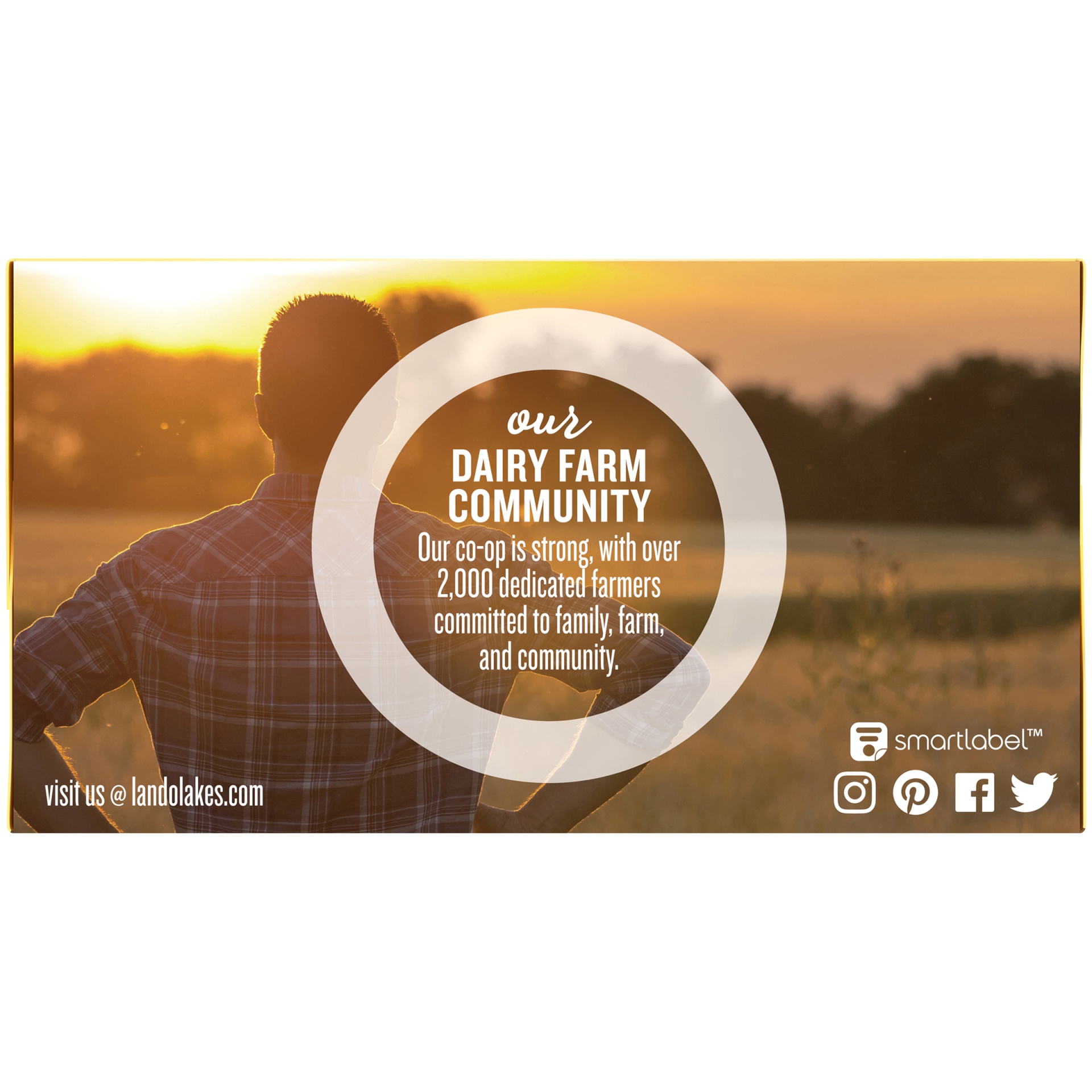 slide 3 of 6, Land O'Lakes Salted Butter, 4 sticks, 1 lb pack, 1 lb