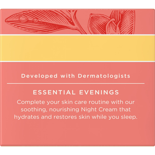 slide 6 of 22, Burt's Bees Hydrating Night Cream, 1.8 oz