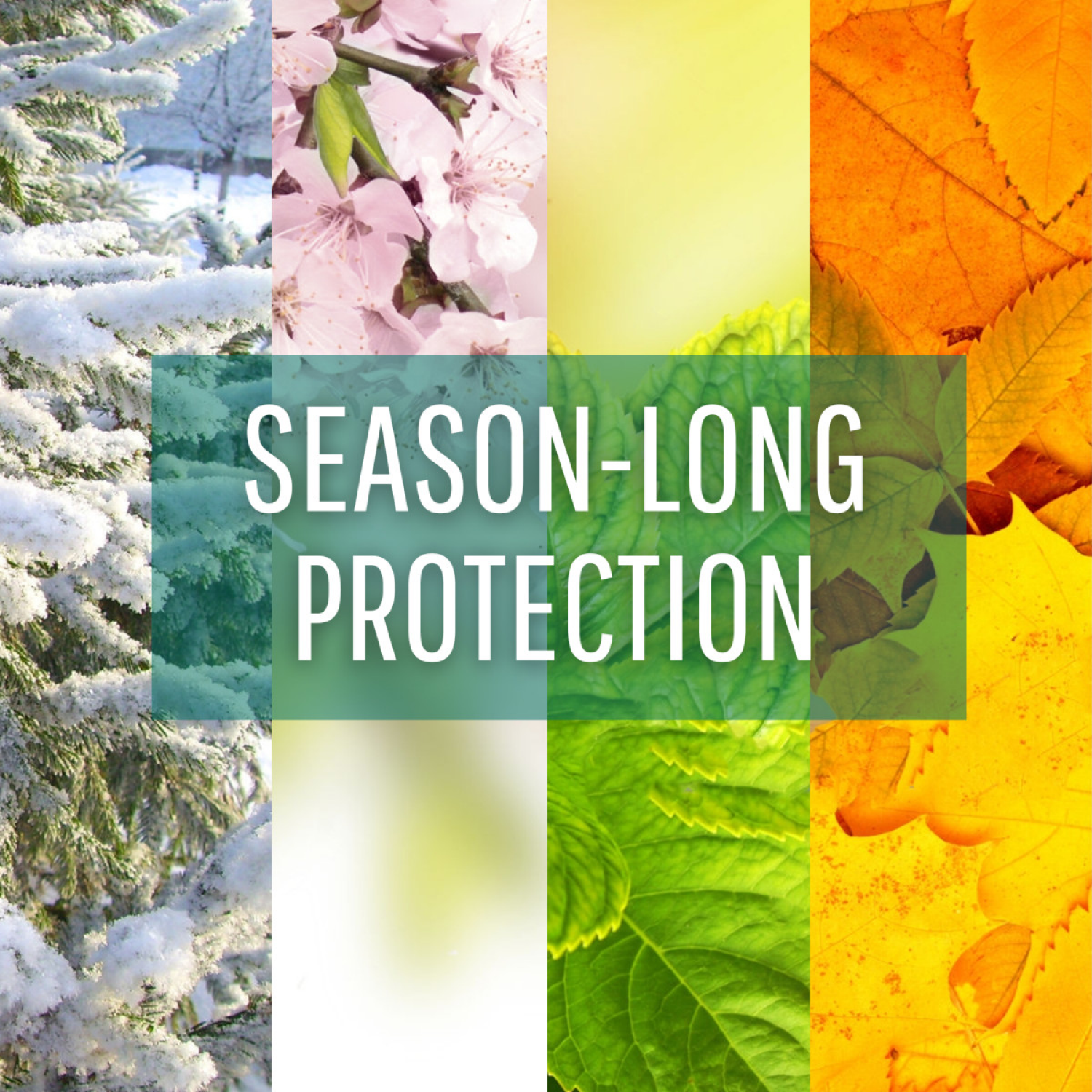 slide 4 of 5, Havahart Deer off Deer repellent, 6 ct