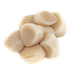 DRY SCALLOPS USA 20-30 COUNT