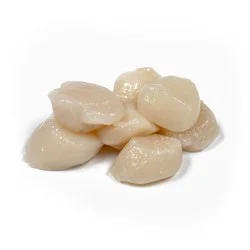 FRESH COLOSSAL DRY SEA SCALLOPS PIECES