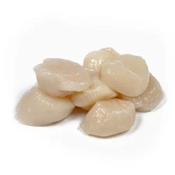 SCALLOPS SEA SCALLOP 10-20 CT FRSH USA
