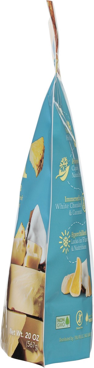 slide 7 of 12, Tru Fru Pina Colada Pineapple Coconut Nature's Pineapple 20 oz, 20 oz