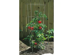 Panacea 42" Tomato Cage Galvanized