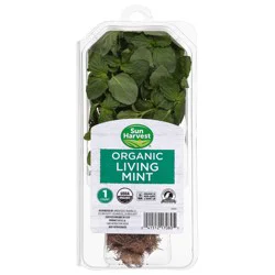 Sun Harvest Organic Living Mint