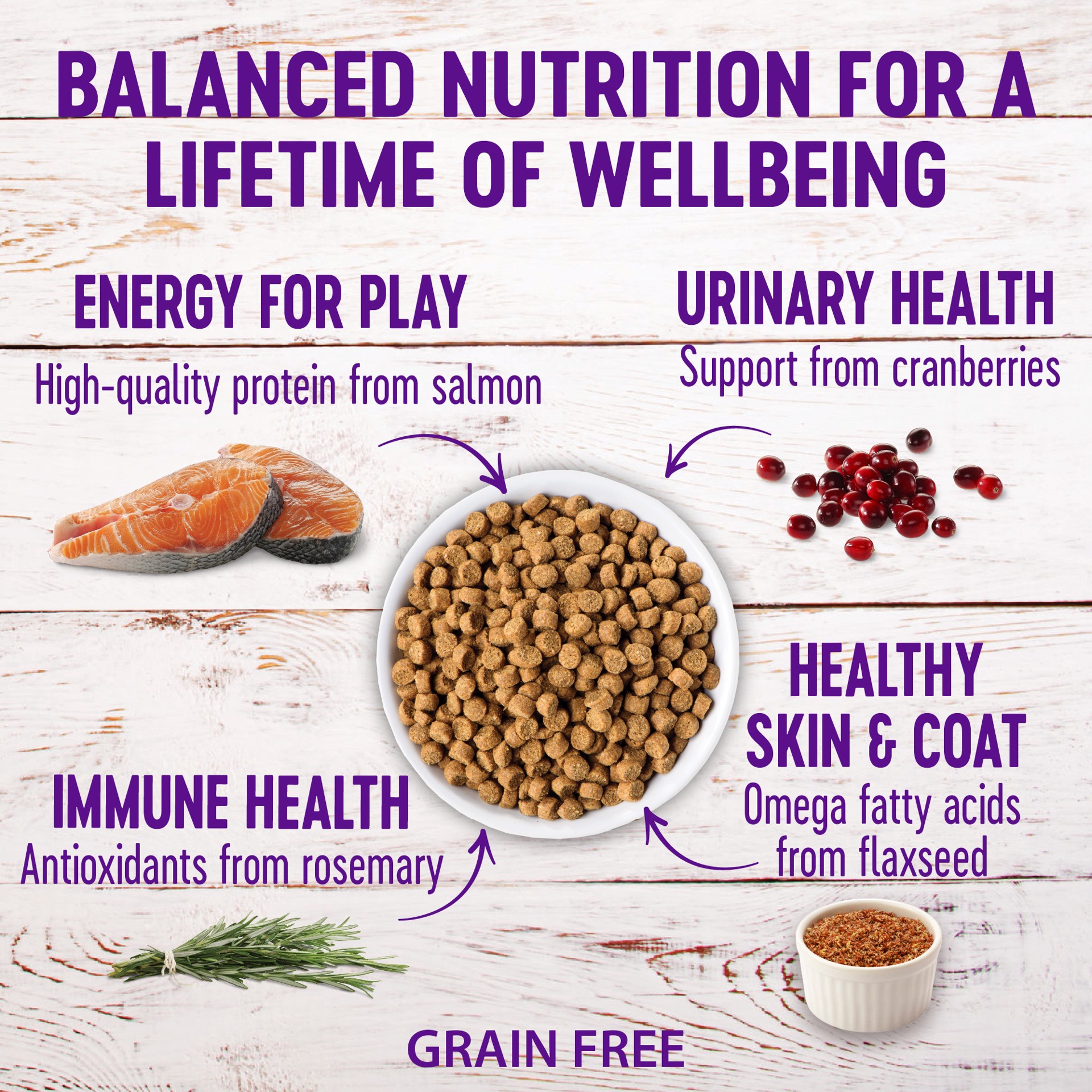 slide 3 of 5, Wellness Complete Health Indoor Cat Food - Natural, Grain Free, Salmon & Herring Meal, 1 ct