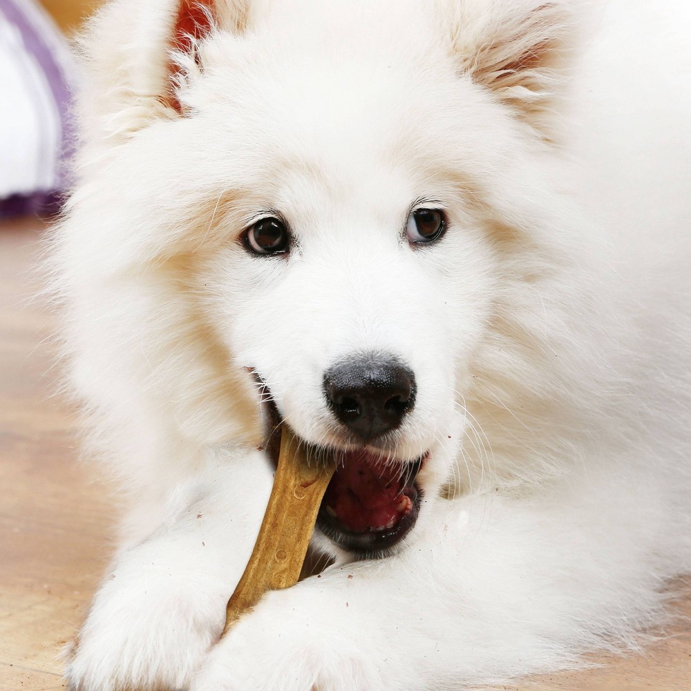 slide 4 of 6, Nylabone Nubz Peanut Butter Grande Chews Dog Treats, 2 ct