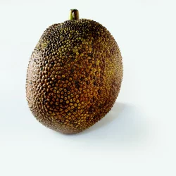 Jackfruit